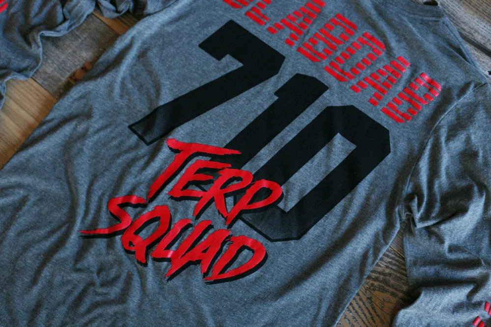 710 Terp Squad Jersey Grey L/S