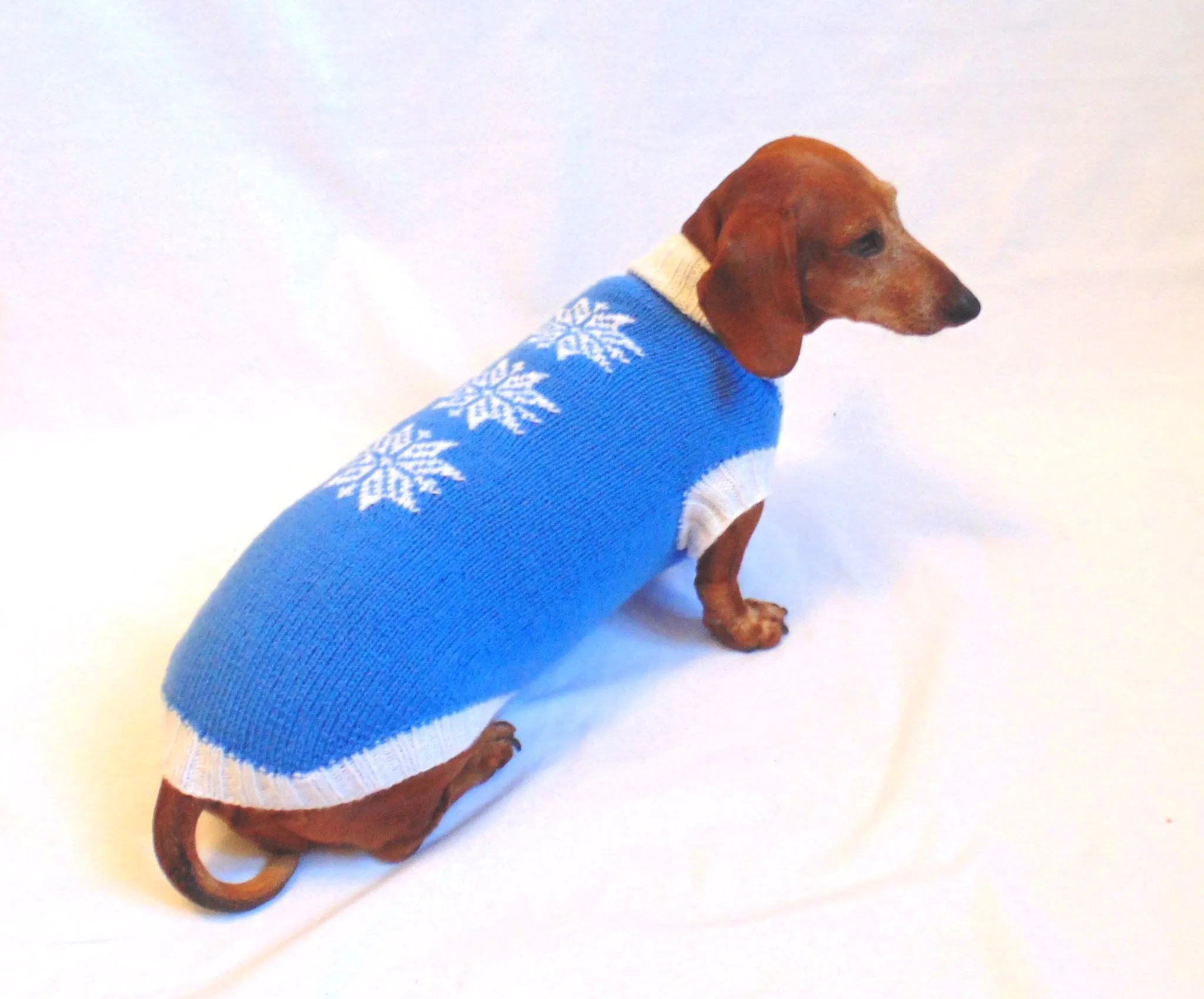 Christmas knitted sweater with snowflakes for dog