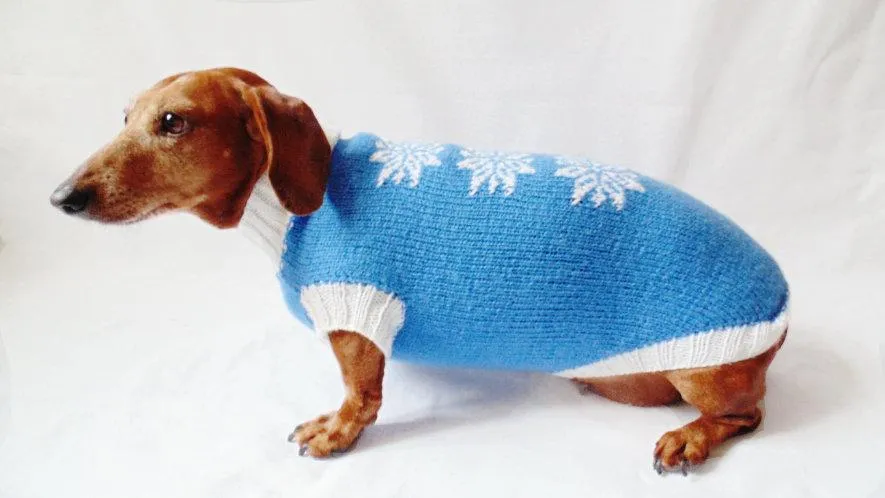 Christmas knitted sweater with snowflakes for dog