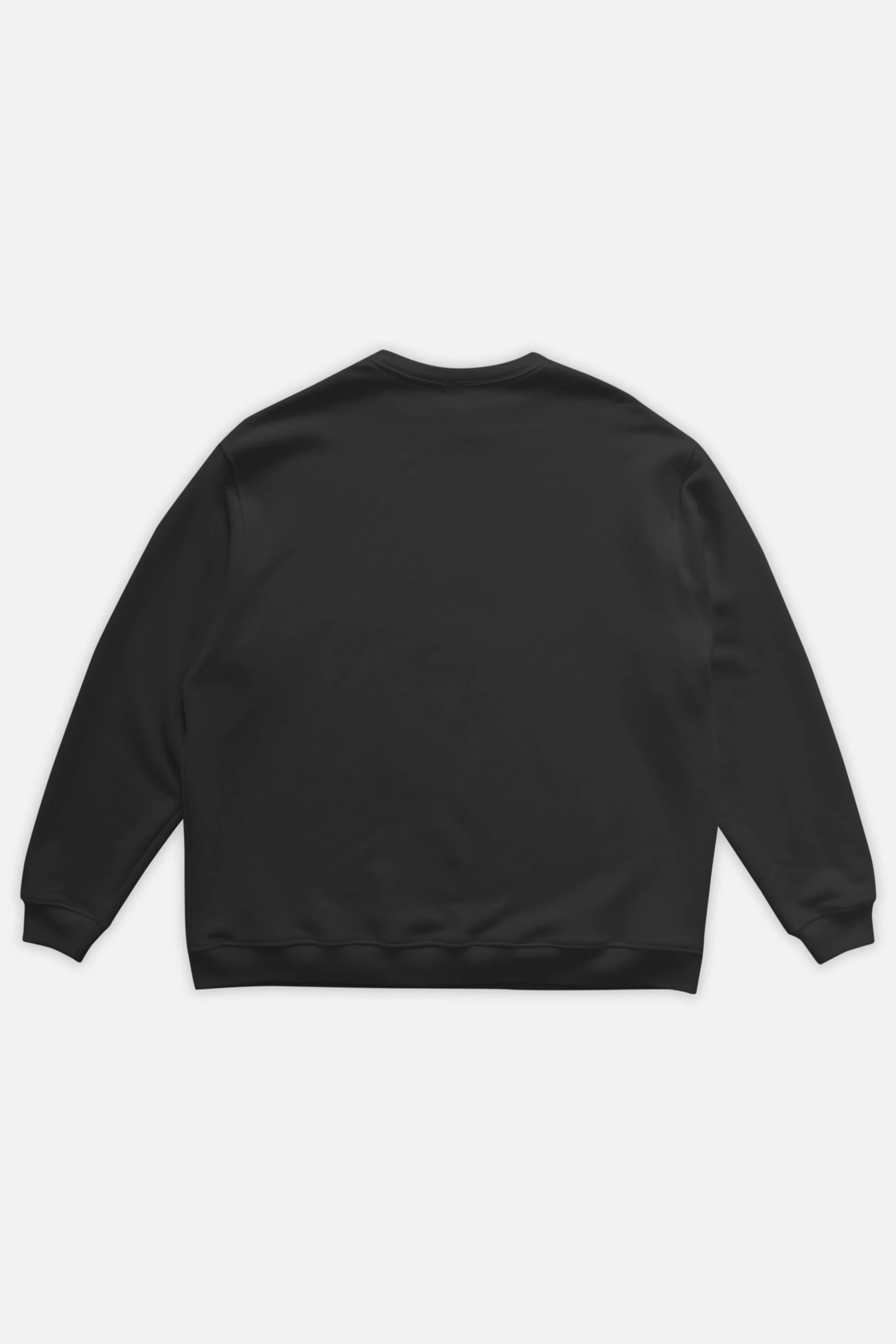 Chumba Organic Sweatshirt