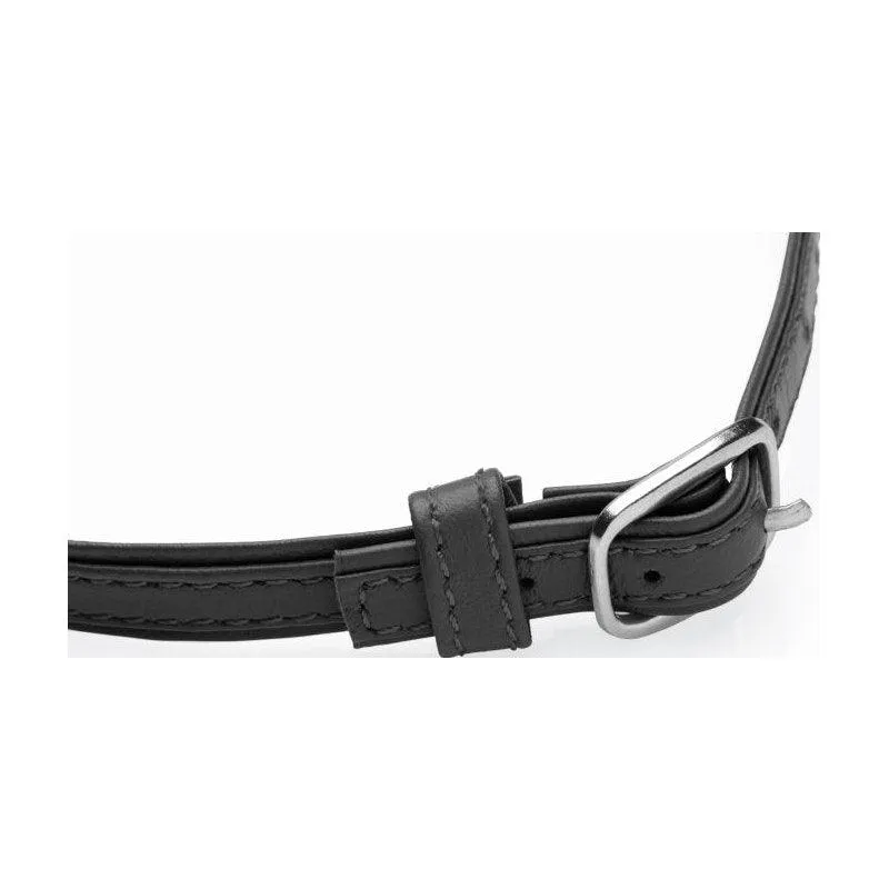 Sex Pet Leather Choker w Silver Ring Black