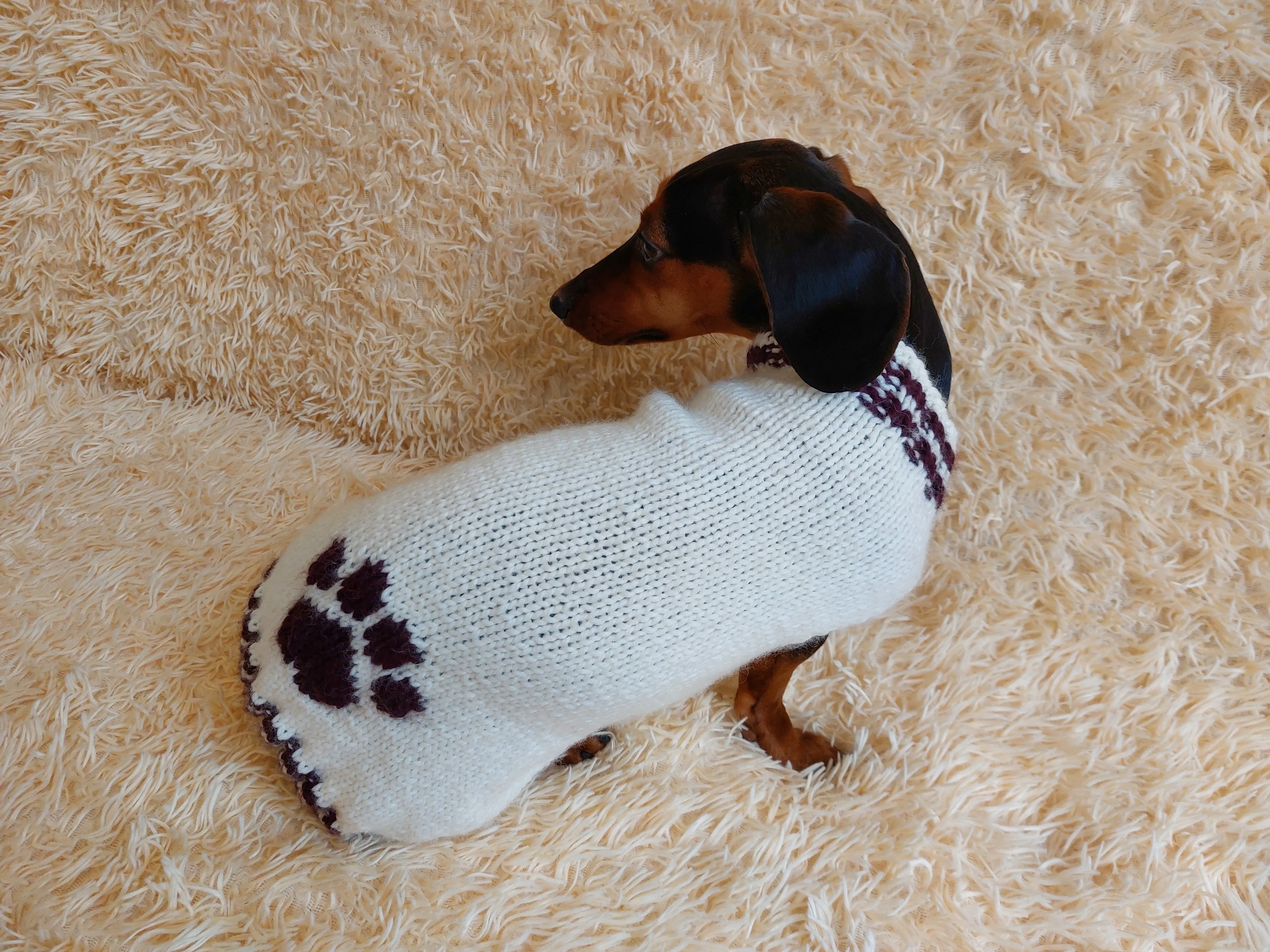 Sweater outfit wool winter for pets dog dachshund with paw