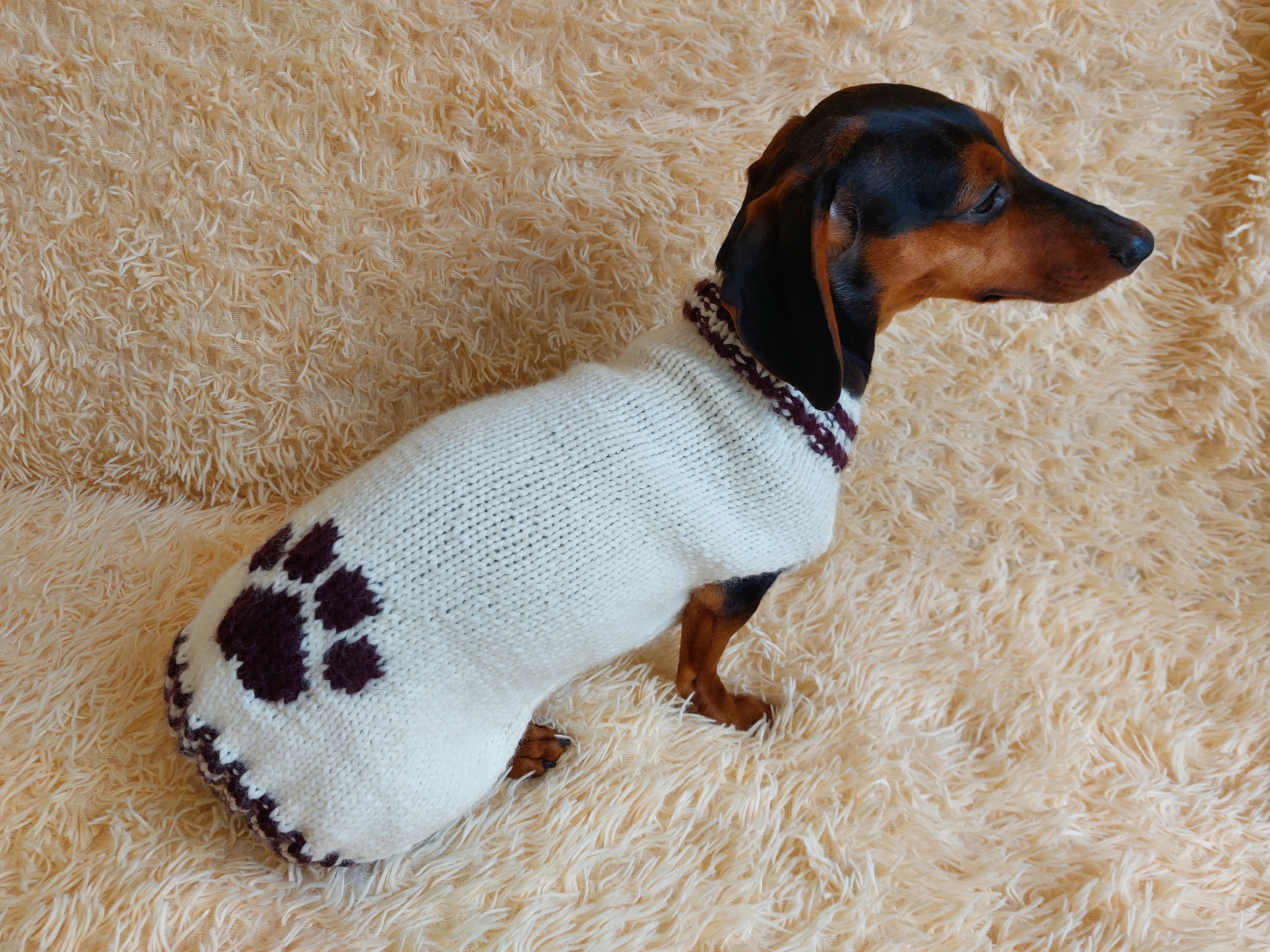 Sweater outfit wool winter for pets dog dachshund with paw