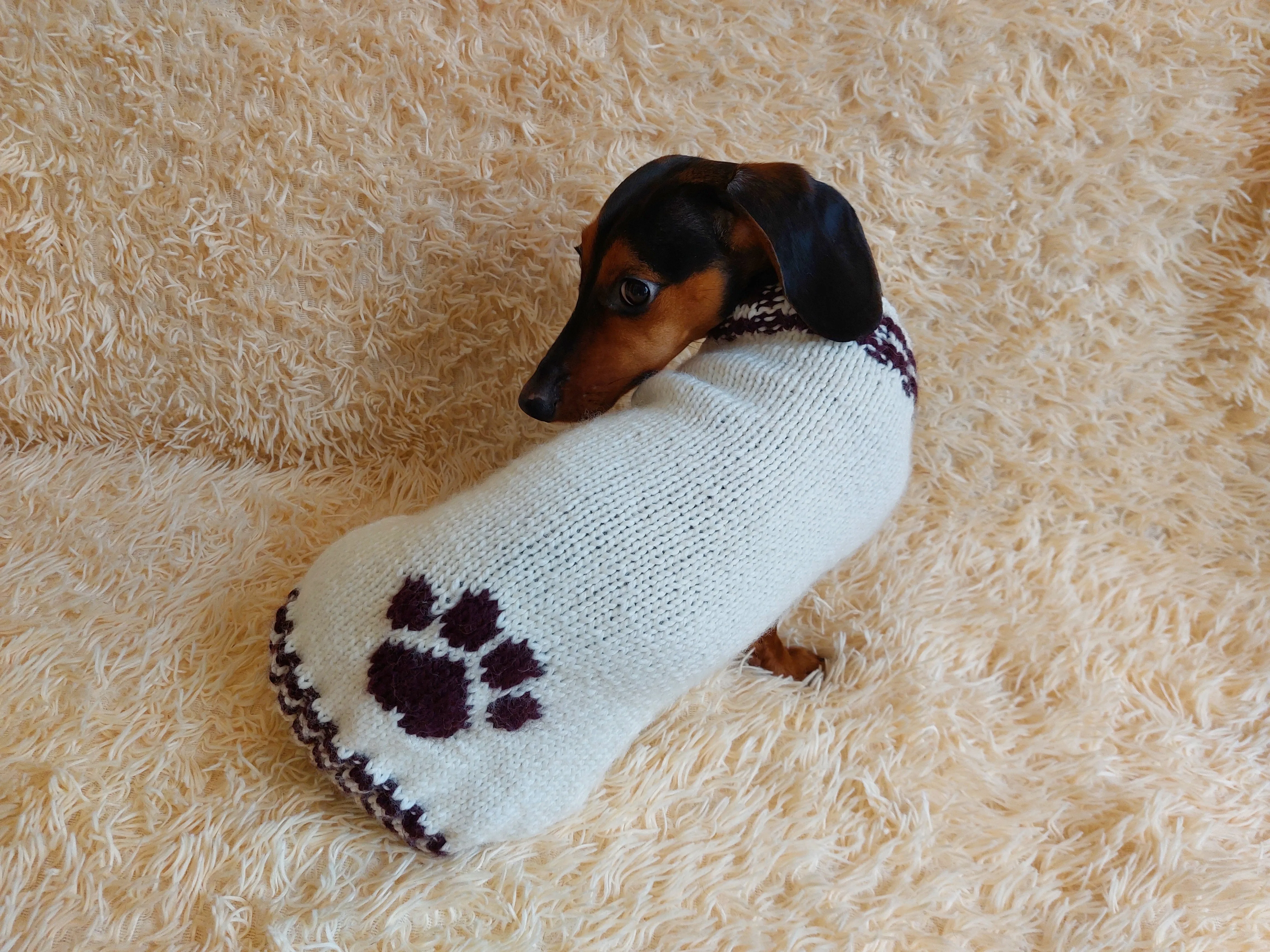 Sweater outfit wool winter for pets dog dachshund with paw