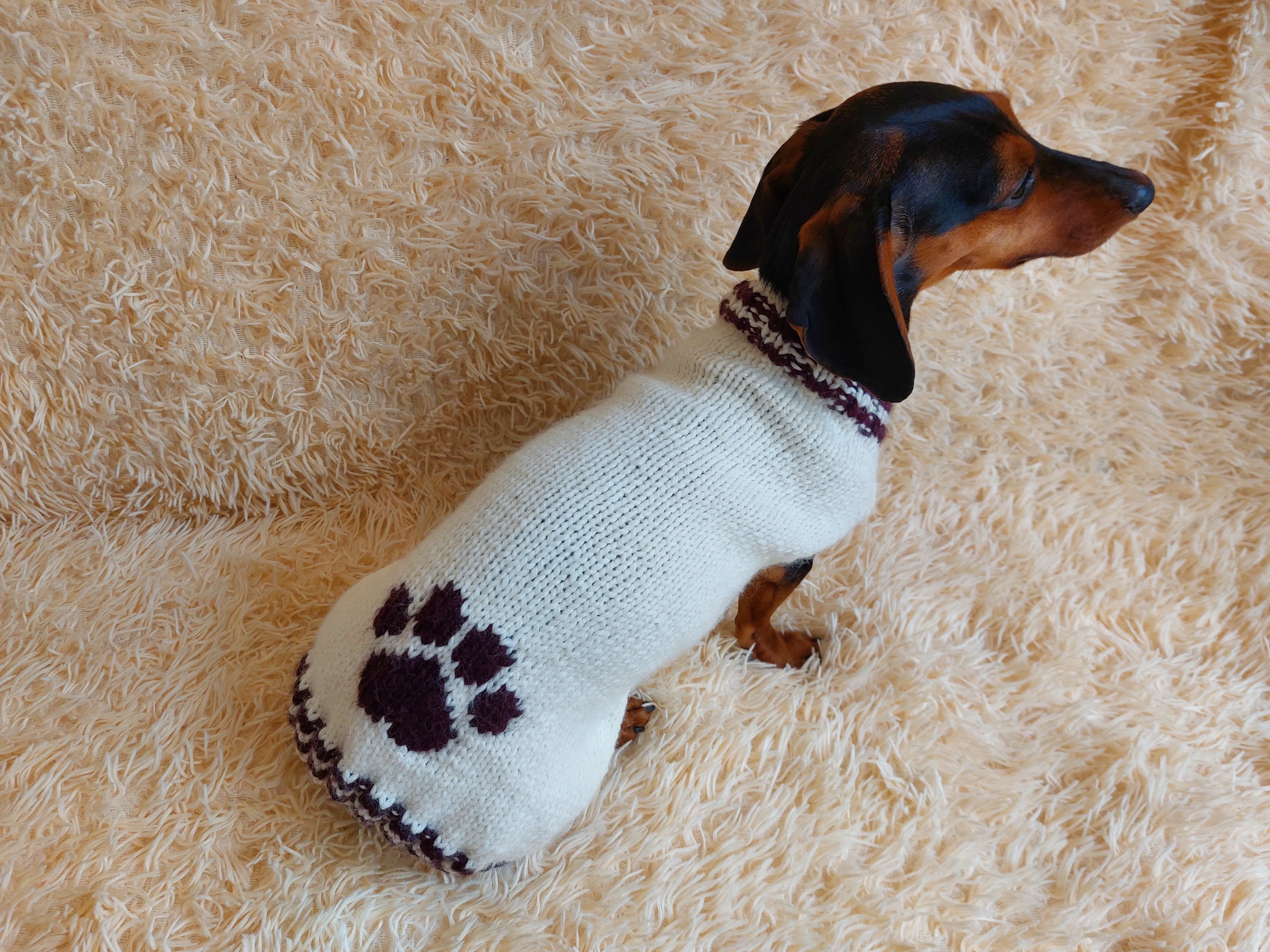 Sweater outfit wool winter for pets dog dachshund with paw